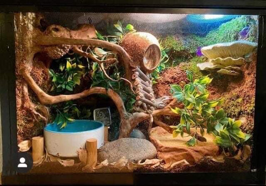 Custom Habitat