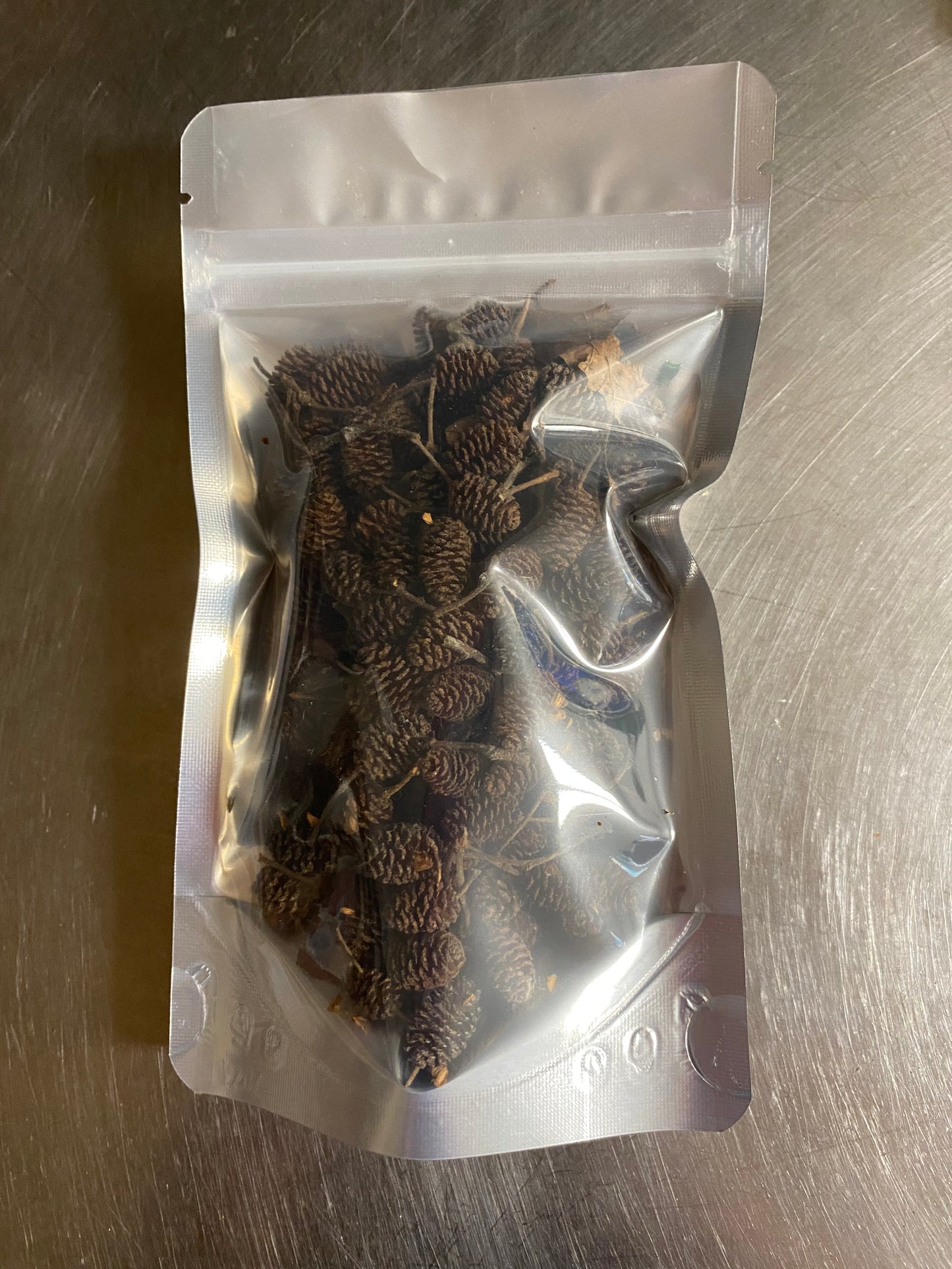 Alder Cones - for Hermit Crabs