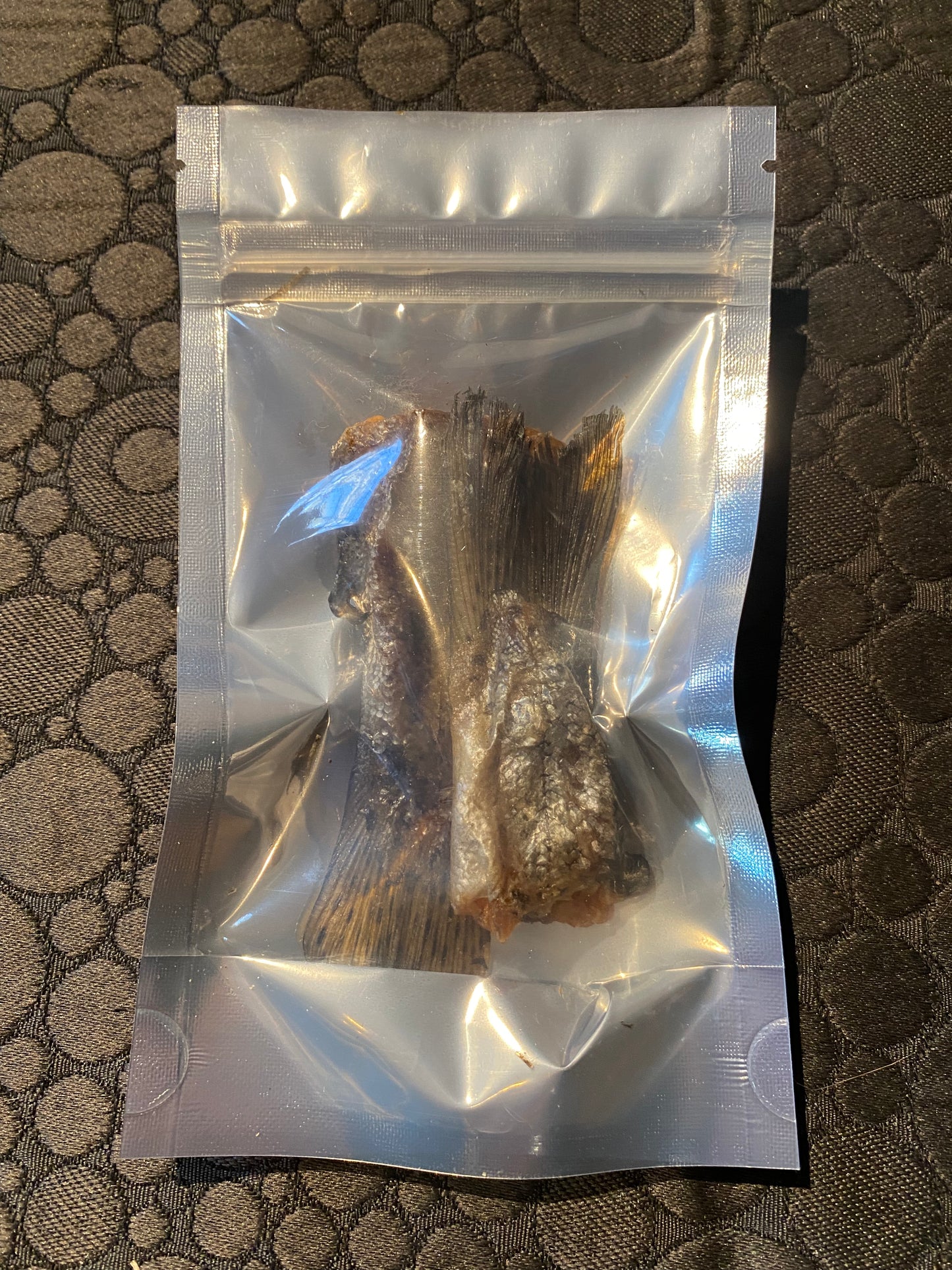 Trout Tails - for Hermit Crabs