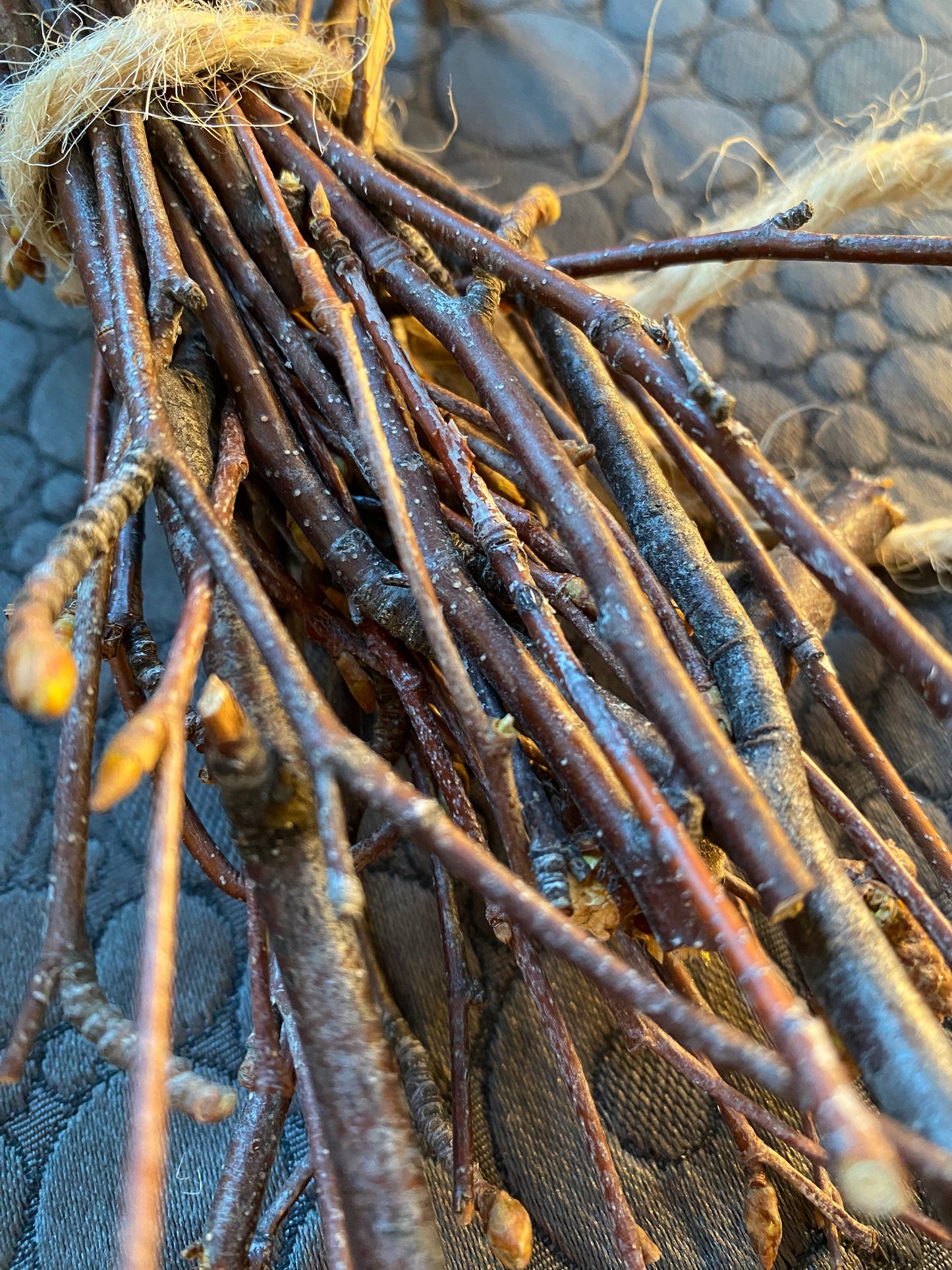 Birch Tangle - for Hermit Crabs