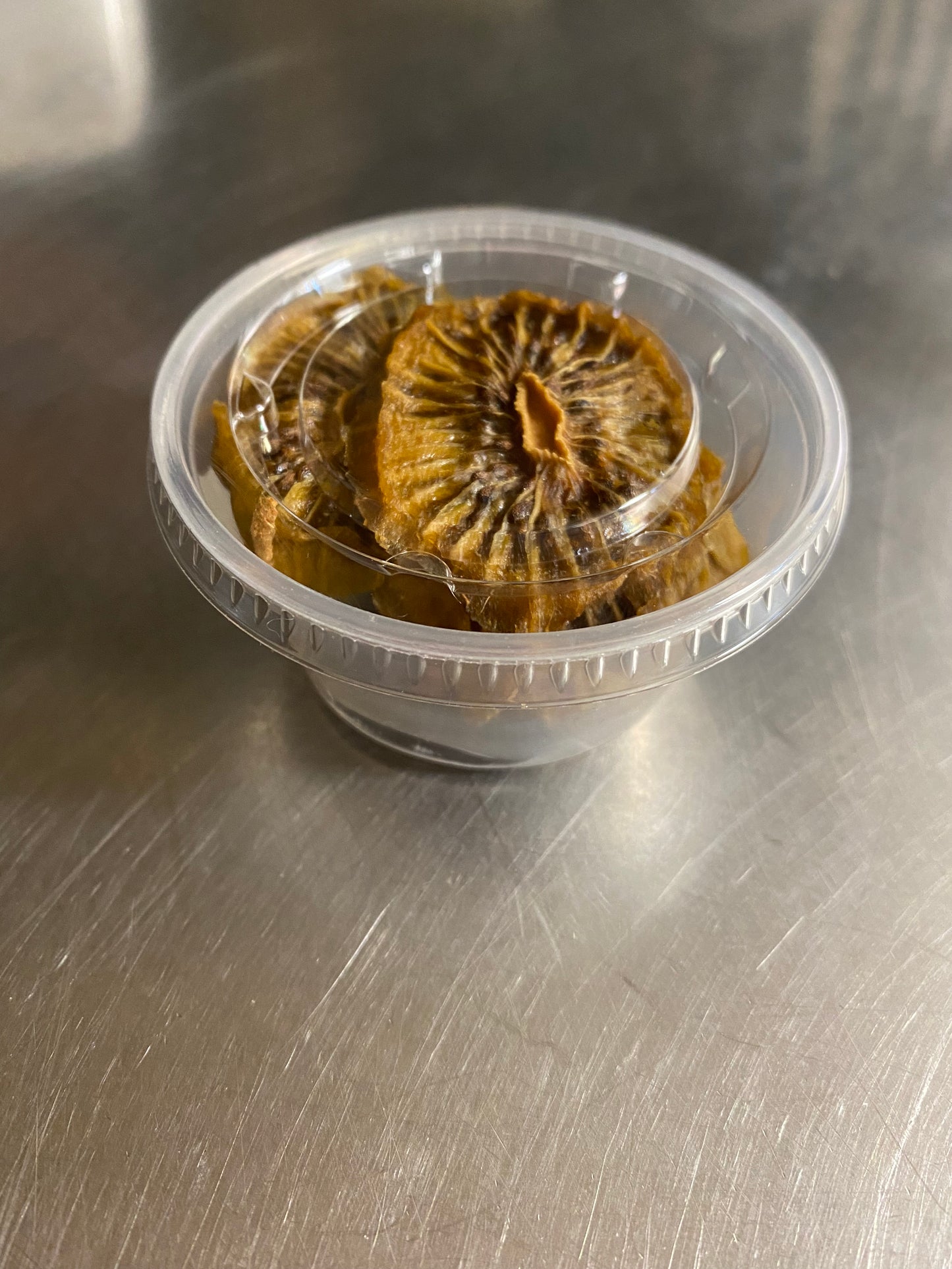 Golden Kiwi Rounds - for Hermit Crabs