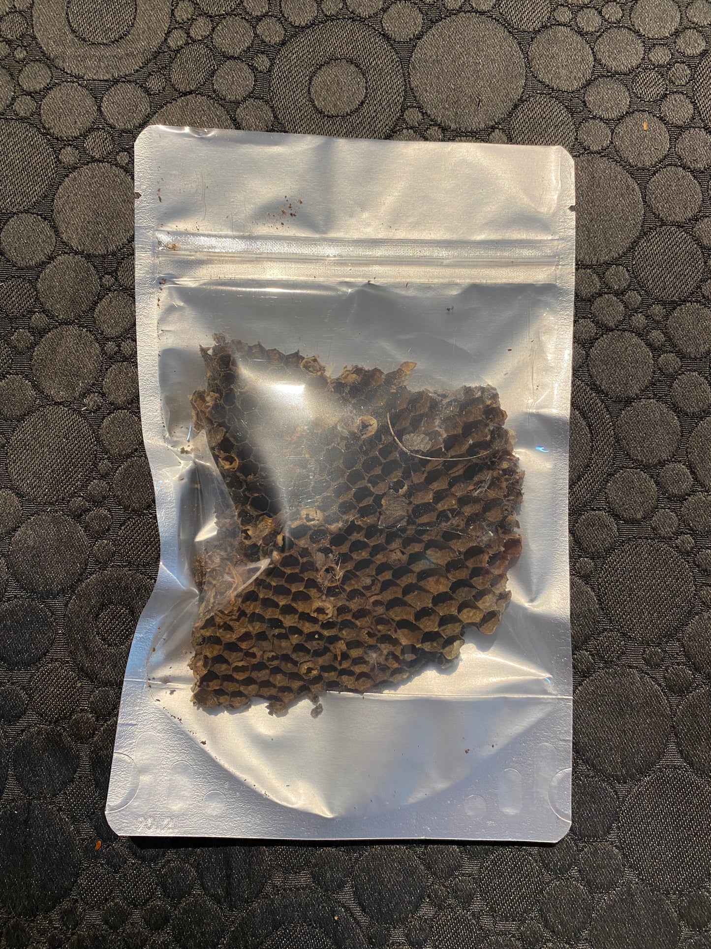 Paper Wasp Nest Comb - for Hermit Crabs