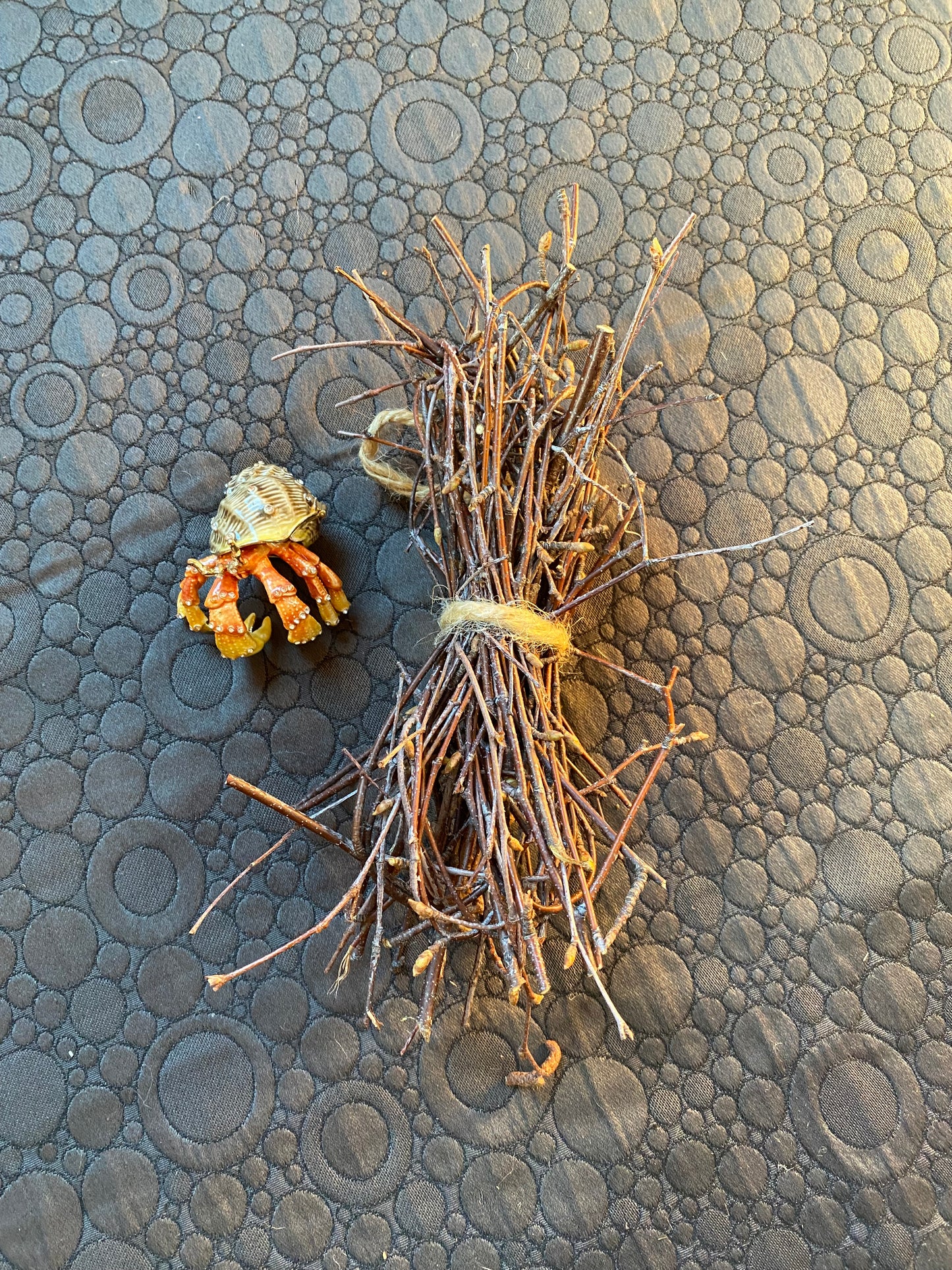 Birch Tangle - for Hermit Crabs