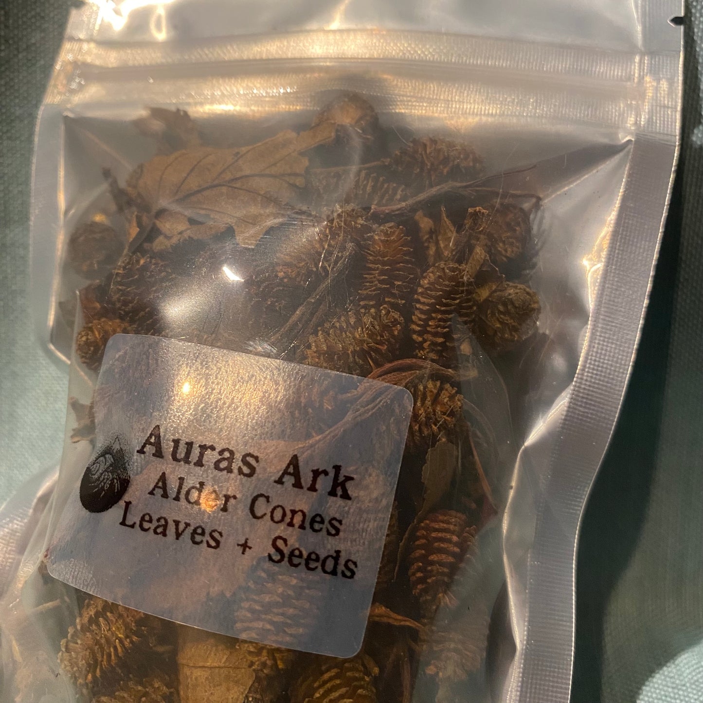 Alder Cones - for Hermit Crabs
