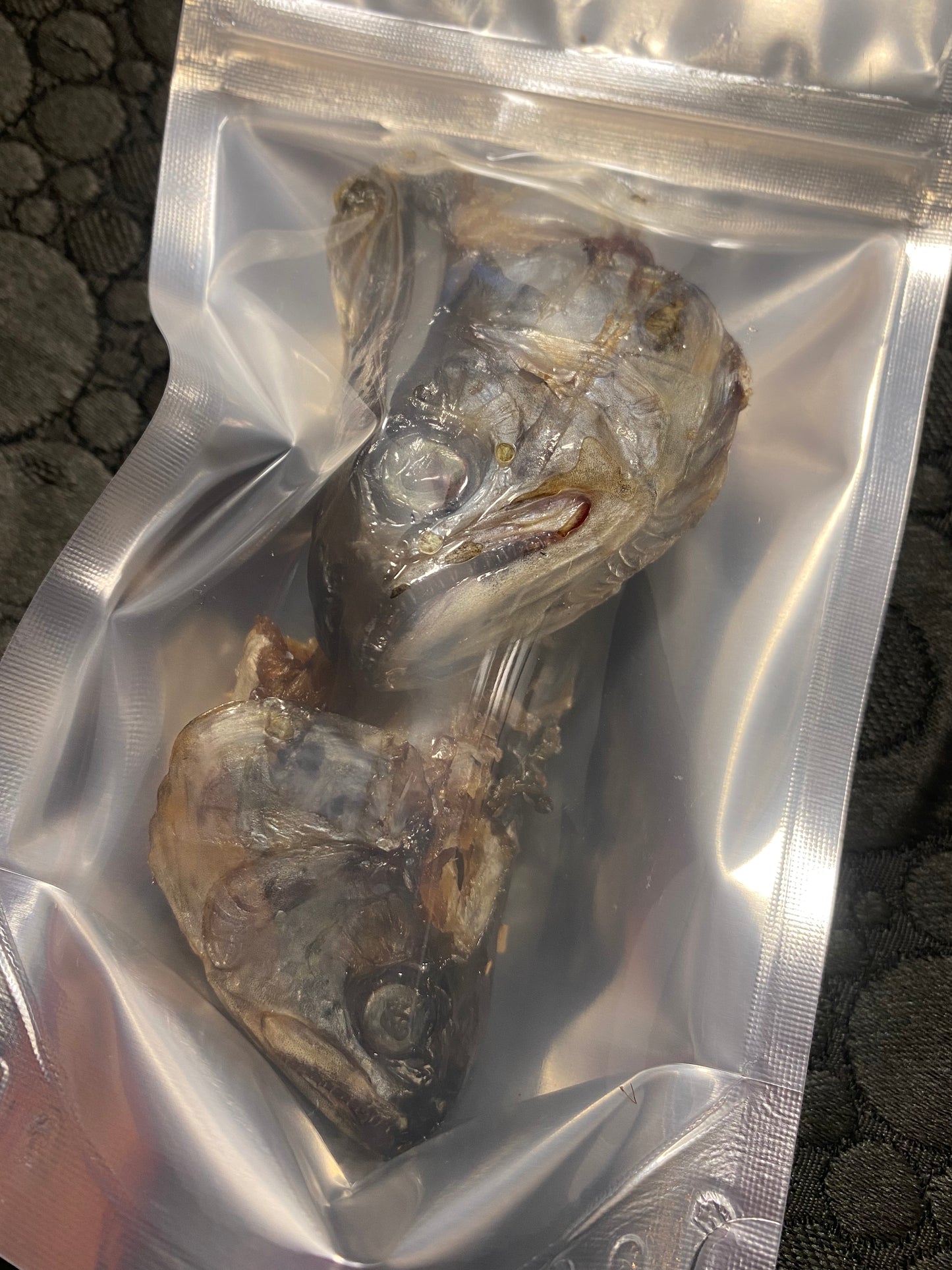 Trout Heads - for Hermit Crabs