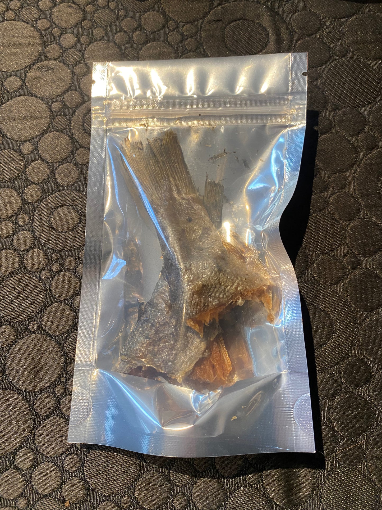 Trout Tails - for Hermit Crabs