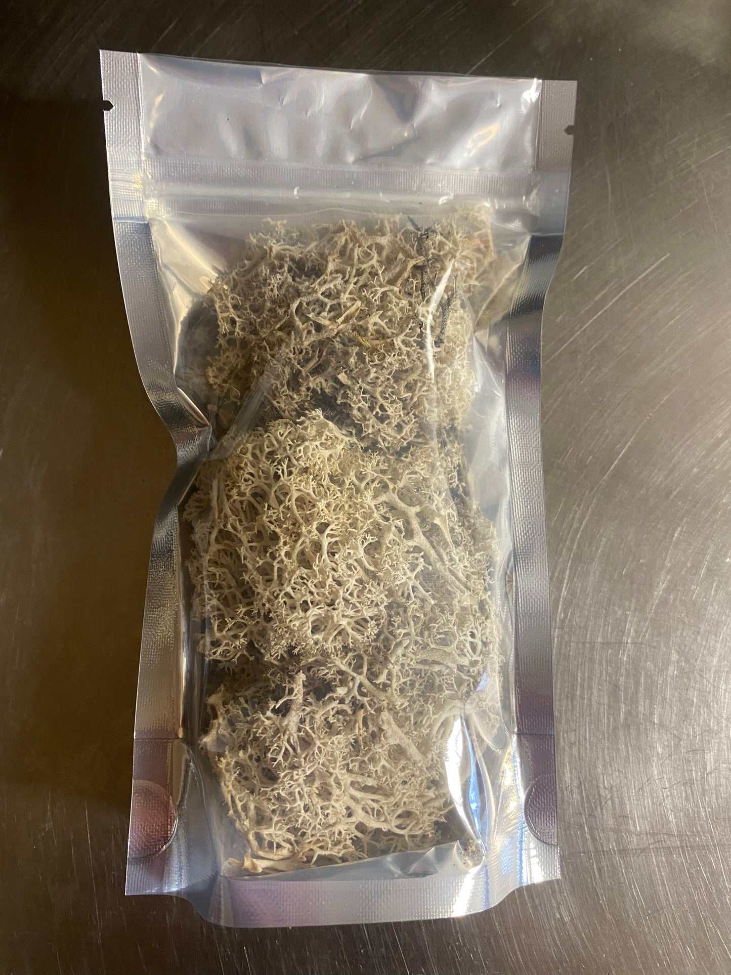 Reindeer Lichen - for Hermit Crabs