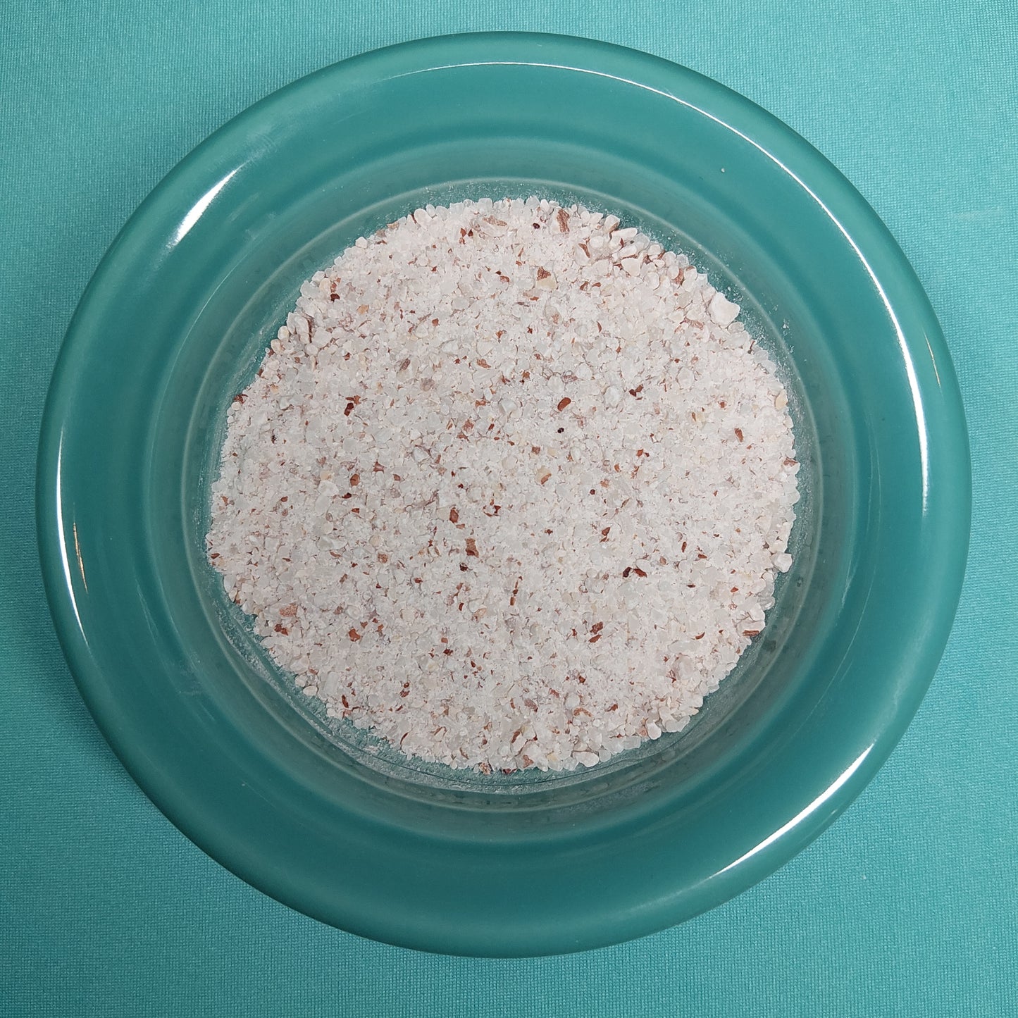Cooked Beans & Rice - for Hermit Crabs