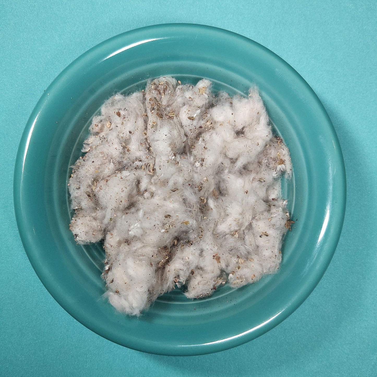 Balsam Poplar Cotton - for Hermit Crabs