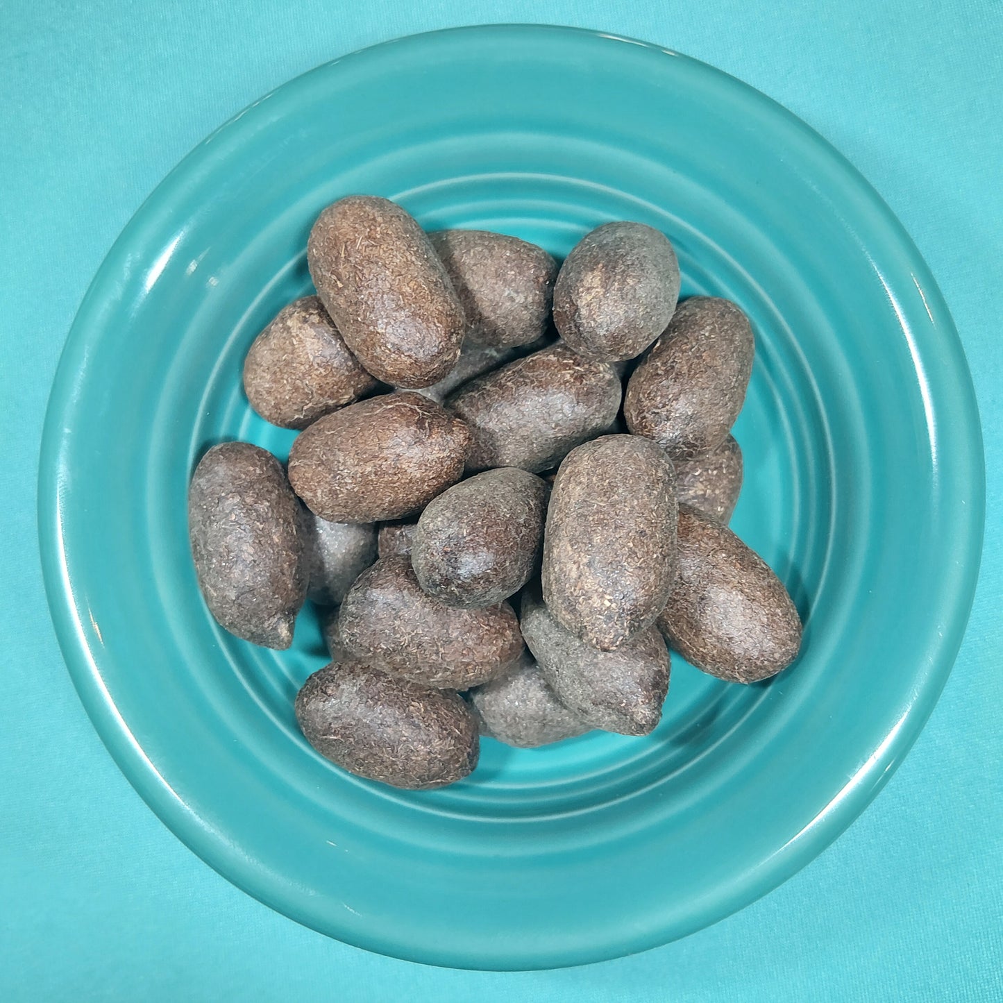 Moose Poops - for Hermit Crabs