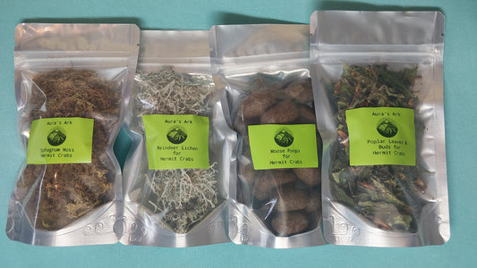 Arctic Springtime Activity Kit - for Hermit Crabs