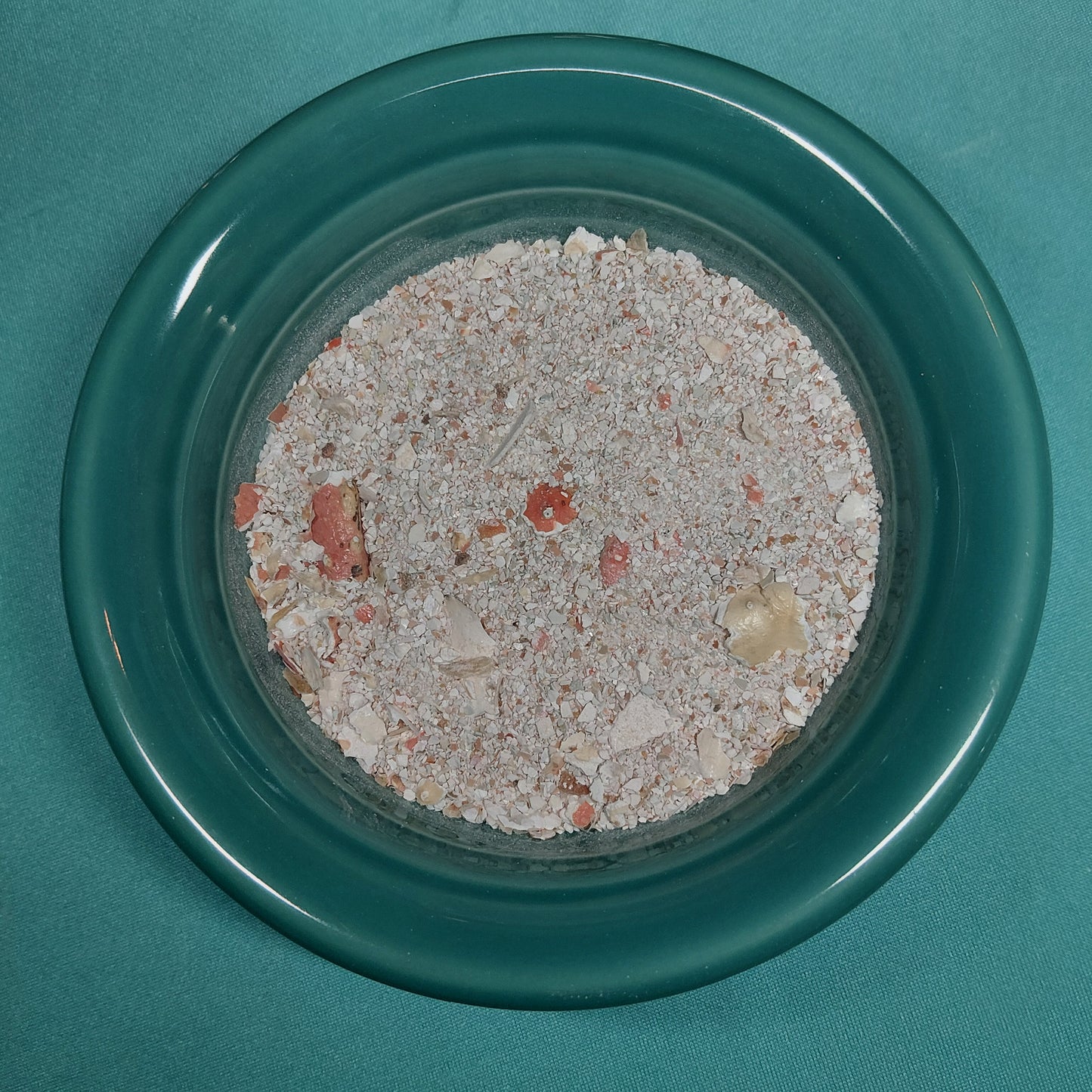 Deluxe Calcium - for Hermit Crabs