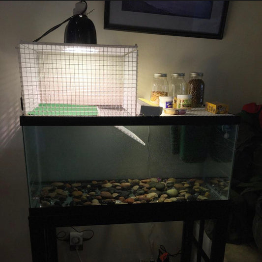 Habitat Set Up