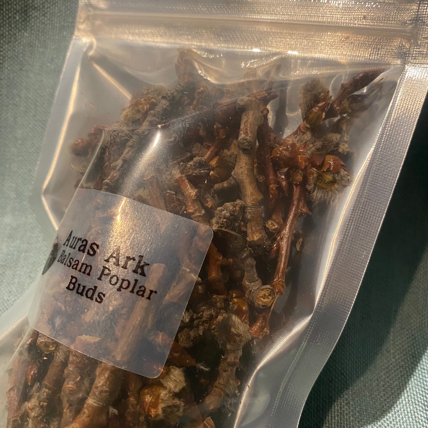 Poplar Buds - for Hermit Crabs