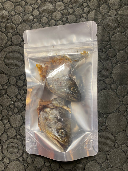 Trout Heads - for Hermit Crabs