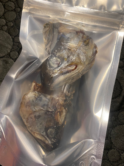 Trout Heads - for Hermit Crabs