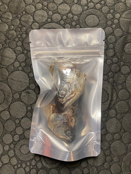 Trout Heads - for Hermit Crabs