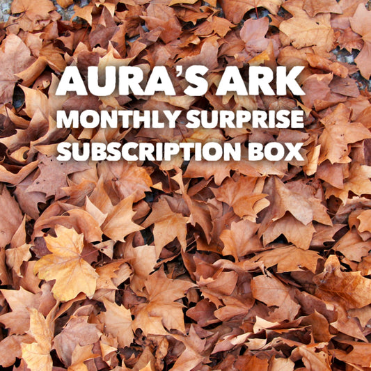 Monthly Surprise Subscription Box - for Hermit Crabs