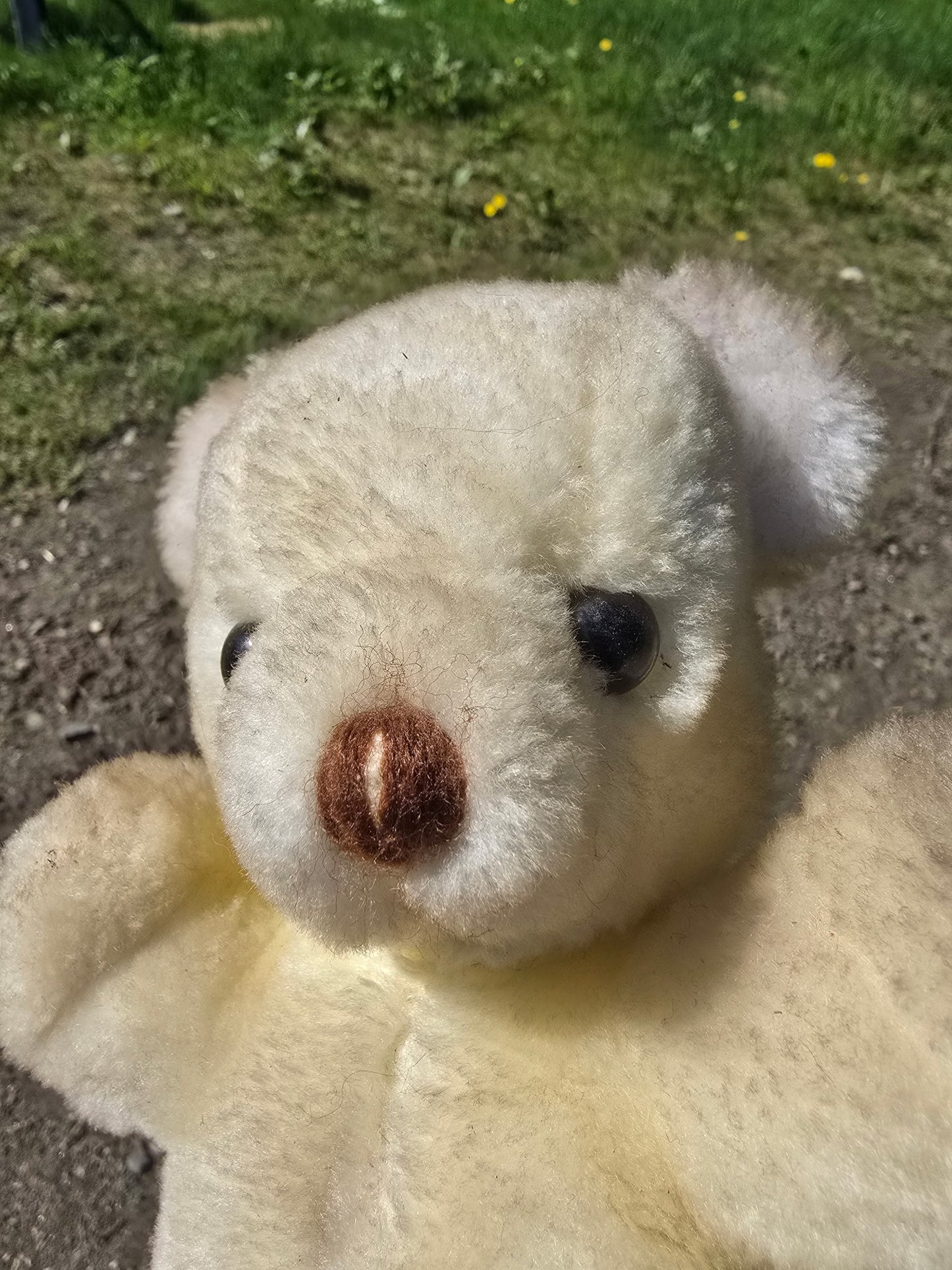 Arctic Basement - Possibly a draining, child spirit