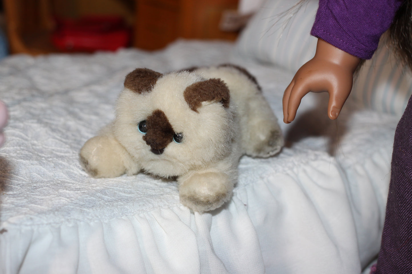 Marisol + Collection