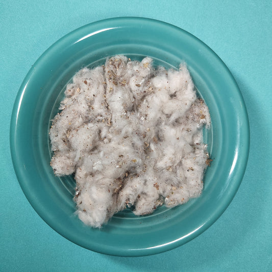 Balsam Poplar Cotton - for Hermit Crabs