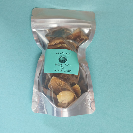 Golden Kiwi - for Hermit Crabs