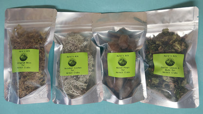 Arctic Springtime Activity Kit - for Hermit Crabs