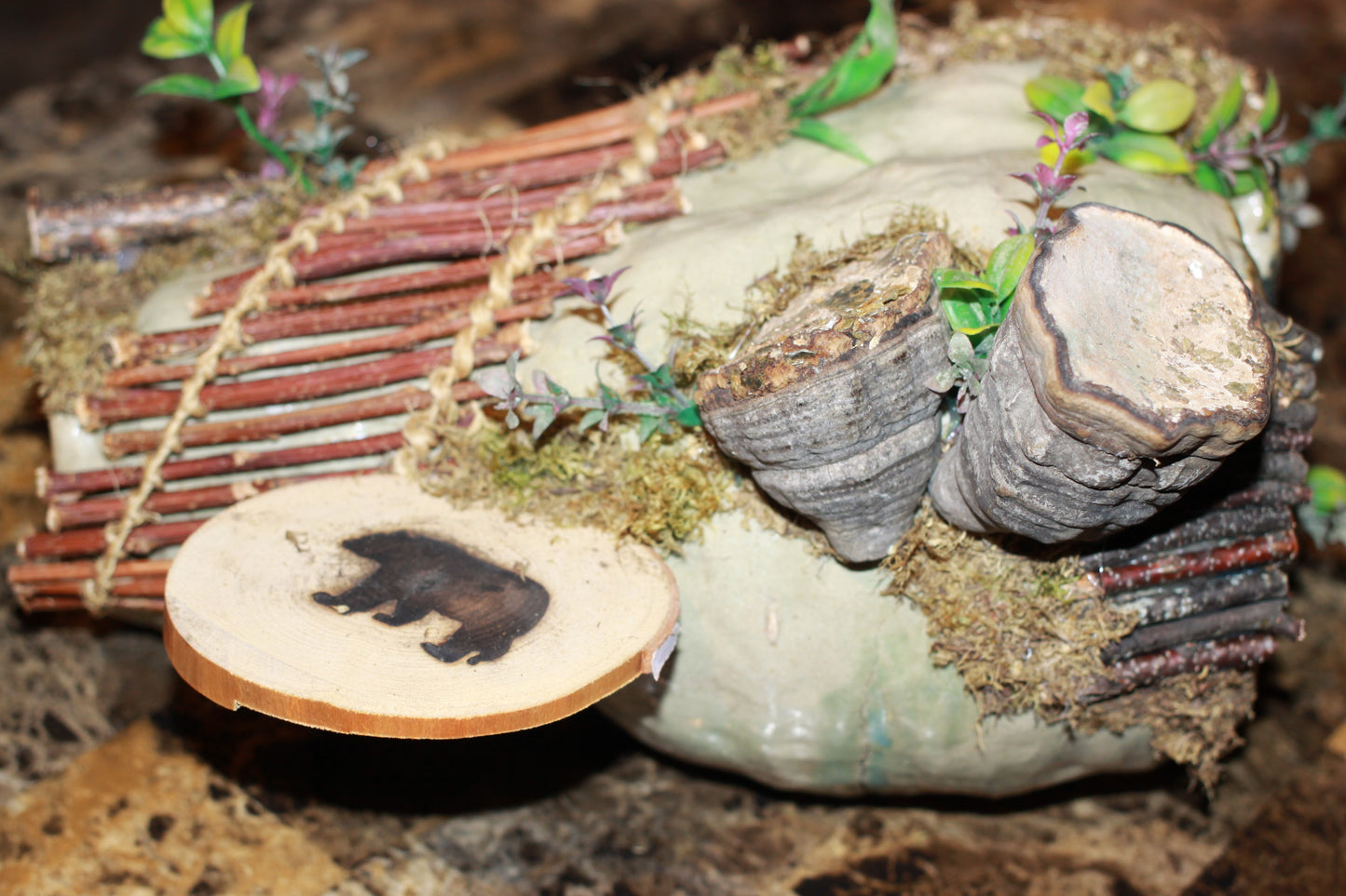 The Quiet Burrow - Imagination Creation for Hermit Crabs