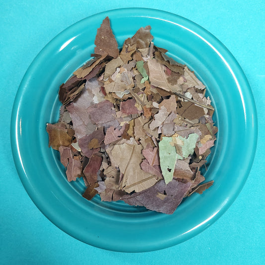 Oak Leaf Litter - for Hermit Crabs
