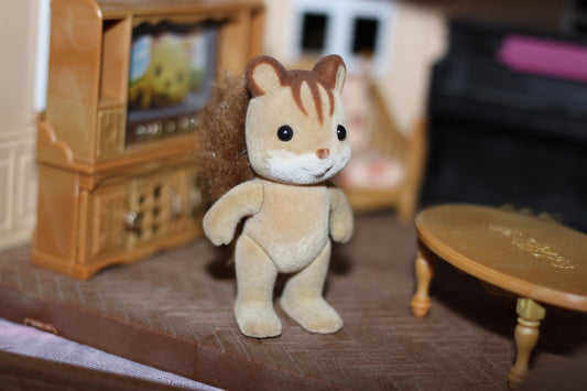 Chipmunk Adult