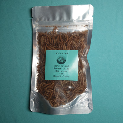Hand Raised Mealworms - for Hermit Crabs