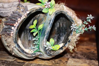 The Quiet Burrow - Imagination Creation for Hermit Crabs