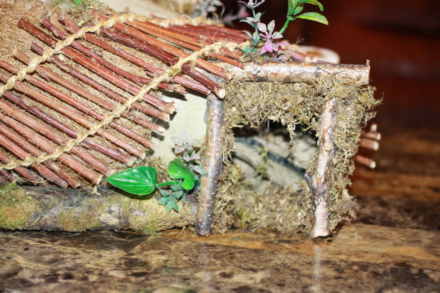 The Quiet Burrow - Imagination Creation for Hermit Crabs
