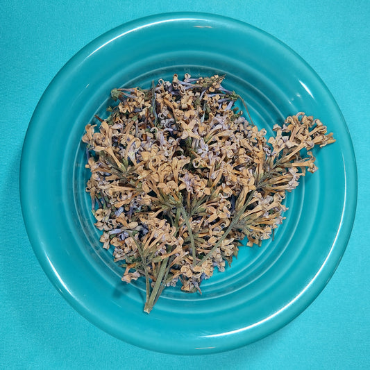 Lilac Blooms - for Hermit Crabs