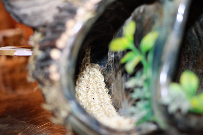 The Quiet Burrow - Imagination Creation for Hermit Crabs