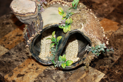 The Quiet Burrow - Imagination Creation for Hermit Crabs