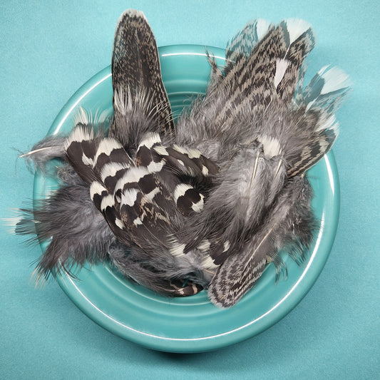 Ptarmigan Feathers - for Hermit Crabs