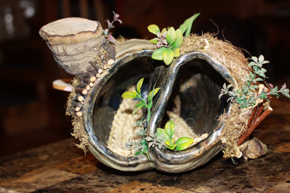 The Quiet Burrow - Imagination Creation for Hermit Crabs